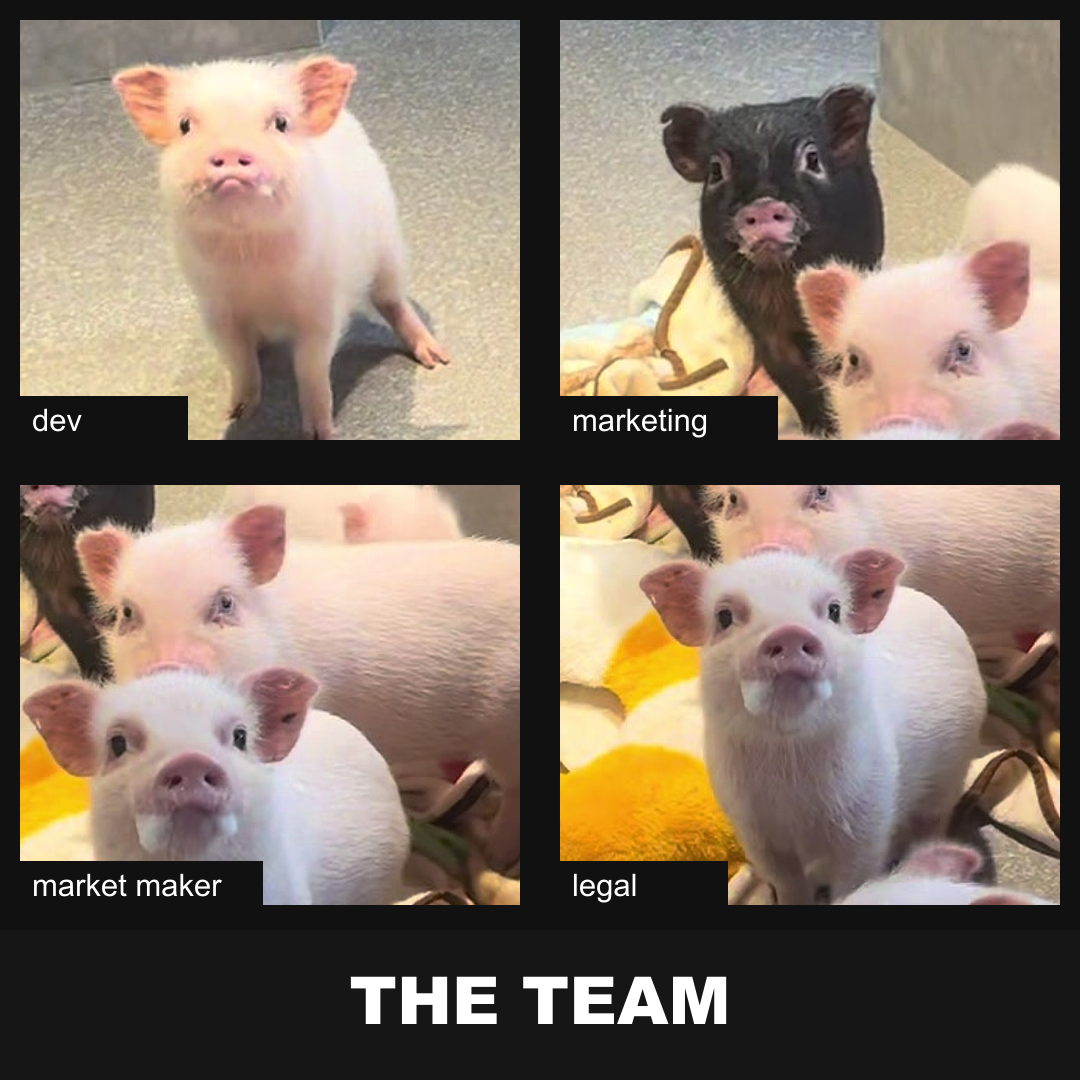 Four pigs serving as the PIG team